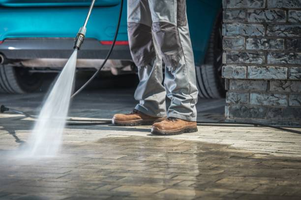 Best Residential Exterior Washing  in Williamstown, WV