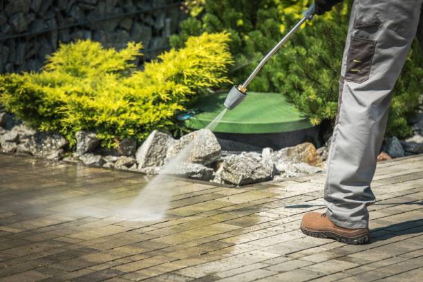 Best Gutter Cleaning  in Williamstown, WV