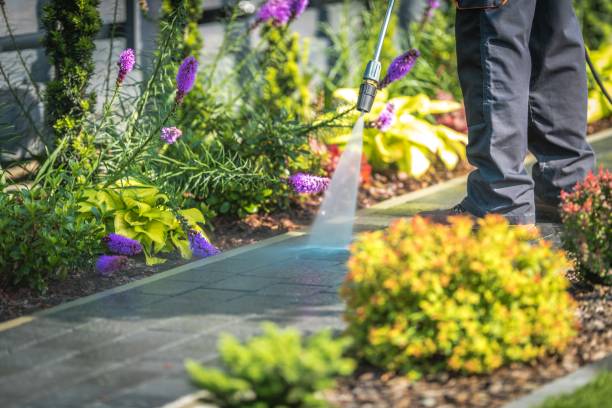 Best Restaurant Pressure Washing  in Williamstown, WV