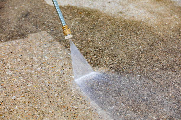 Best Building Exterior Washing  in Williamstown, WV