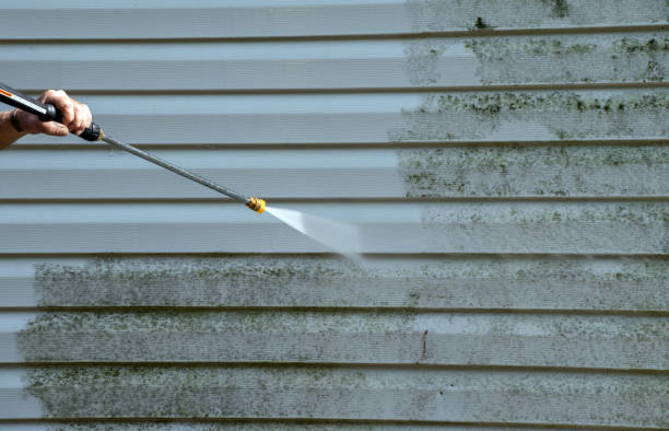 Best Parking Lot and Garage Cleaning  in Williamstown, WV