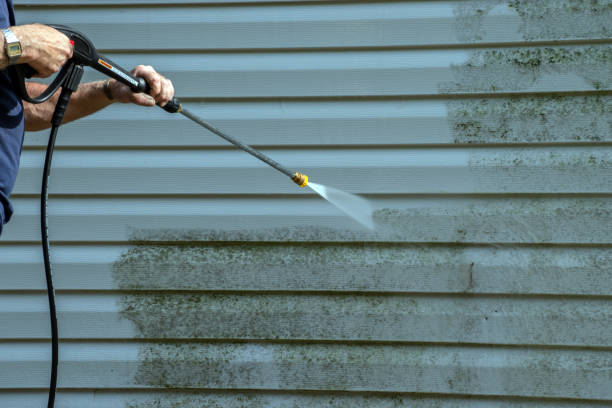Best Solar Panel Cleaning  in Williamstown, WV