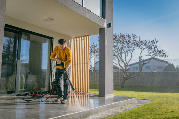 Best Patio and Deck Pressure Washing  in Williamstown, WV